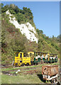 TQ0312 : Amberley Museum Railway by Des Blenkinsopp