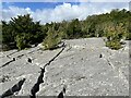 SD4978 : Limestone clints near Marble Quarry by Adrian Taylor