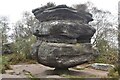 SE2065 : Brimham Rocks: balancing rocks by David Martin