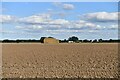 TF4723 : Sutton Bridge: Ploughed field and baled straw by Michael Garlick