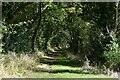  : Walsham le Willows: Public foot path by Michael Garlick