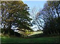 NZ1649 : Gateway at High Crow Wood by Robert Graham