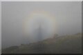 SO7540 : A brocken spectre by Philip Halling