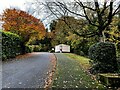 H4672 : Autumnal scene near the Lovers Retreat, Mullaghmore by Kenneth  Allen