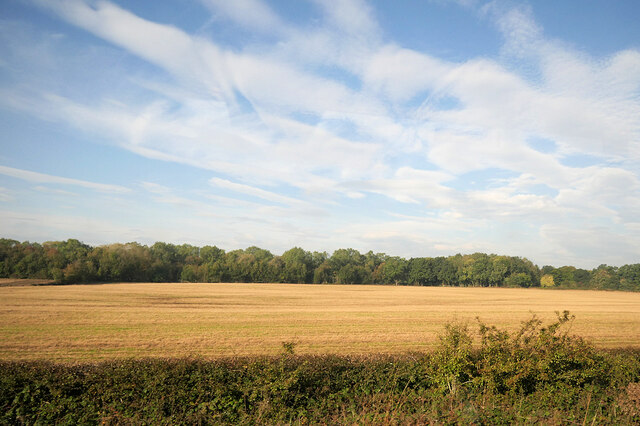 Farmland to the west of the A167