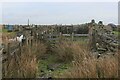 SD8519 : Battered Sheep Pens off Rooley Moor Road by Chris Heaton