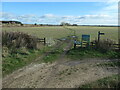 SE6944 : Farm track across Wheldrake Ings by Christine Johnstone