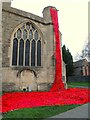 ST6568 : A poppy tribute by Neil Owen