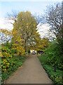 SP5206 : Oxford Botanic Garden by Malc McDonald