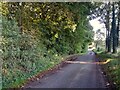 TL9581 : Knettishall Road beside Farm Covert woodland by JThomas