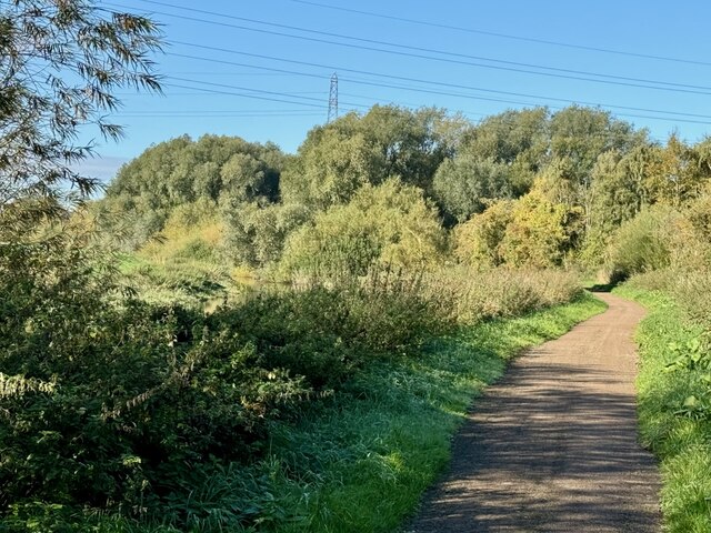 The Water Rail Way