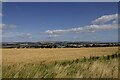 NO7056 : Wheat field on a convex slope at the Barns of Craig, Angus by Adrian Diack