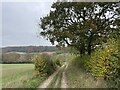 SU7692 : Bridleway below Harecramp Farm by Simon Mortimer