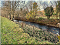 SD6987 : River Dee, Dentdale by David Dixon