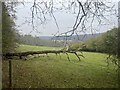 SU7592 : Fallen tree on the edge of Park Wood by Simon Mortimer