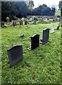 SO6815 : Churchyard headstones, Flaxley, Gloucestershire by Jaggery