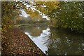 SP9317 : Grand Union Canal near Little Seabrook Farm by David Martin