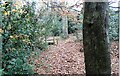 NZ1554 : Stile in the woods near Dipton by Robert Graham