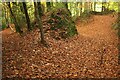 SX8580 : Public access route, Puttshills Wood by Derek Harper