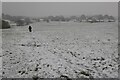 SO7844 : A woman walking in snow by Philip Halling