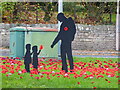 SK5668 : Close-up of part of the Remembrance display at Warsop by Ruth Sharville