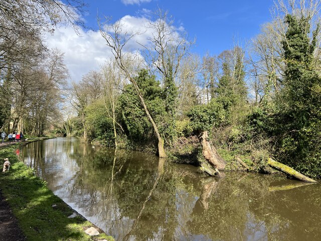 Trent and Mersey Canal at Trentham