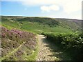 NY3232 : The Cumbria Way near Grainsgill Beck Bridge by Adrian Taylor