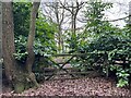 SJ7640 : Gate in wood on Maer Hills by Jonathan Hutchins