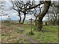 SJ7740 : Footpath fingerpost on Maer Hills by Jonathan Hutchins