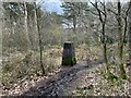 SJ7740 : Trig point on Camp Hill by Jonathan Hutchins