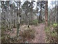 SJ7740 : Public footpath on Maer Hills by Jonathan Hutchins