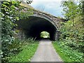 SK1555 : Bridge over the Tissington Trail by David Lally