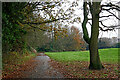 SJ9003 : Pendeford Lane bridleway near Fordhouses in Wolverhampton by Roger  D Kidd