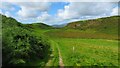 SN7499 : On Glyndwr's Way east of Bryn-glas Farmhouse, south of Machynlleth by Colin Park