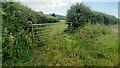 NY2038 : Field gateway on SW of rural road NW of Whitrigg by Roger Templeman