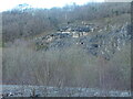 SJ2552 : Hen chwarel galchfaen / Old limestone quarry, Minera by Christine Johnstone