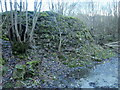 SJ2551 : Coed yn cytrefu'r odyn / Trees colonising the kiln, Minera by Christine Johnstone