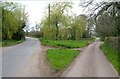 SY0491 : Grass triangles, Harp Lane by Derek Harper