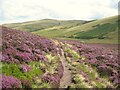 NY3030 : Path in the Caldew Valley by Adrian Taylor