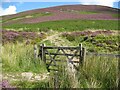 NY3030 : Gate near Wiley Gill by Adrian Taylor