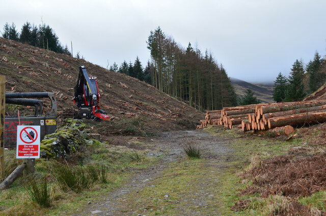 Forestry work on Tarcreish, Stobo Estate