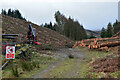 NT1538 : Forestry work on Tarcreish, Stobo Estate by Jim Barton