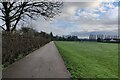 SK6000 : Path in Knighton Park, Leicester by Mat Fascione