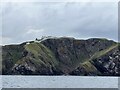 NT9169 : St Abb's Head by Jonathan Hutchins