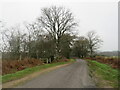 SZ1899 : Braggers Lane, near Bransgore by Malc McDonald