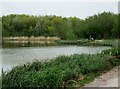 TA1134 : Noddle Hill Nature Reserve, Kingston upon Hull by Bernard Sharp