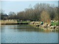 TA1134 : Noddle Hill Nature Reserve, Kingston upon Hull by Bernard Sharp