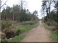 SY9292 : Poole Harbour Trail near Wareham by Malc McDonald