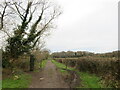 SY9392 : Gore Fields Lane, Organford, near Wareham by Malc McDonald