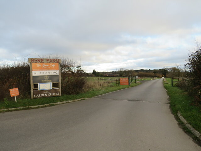 Driveway to Bere Farm, near Lytchett Matravers